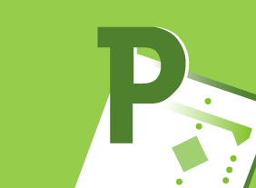 Project 2010 Advanced - Formatting Your Project